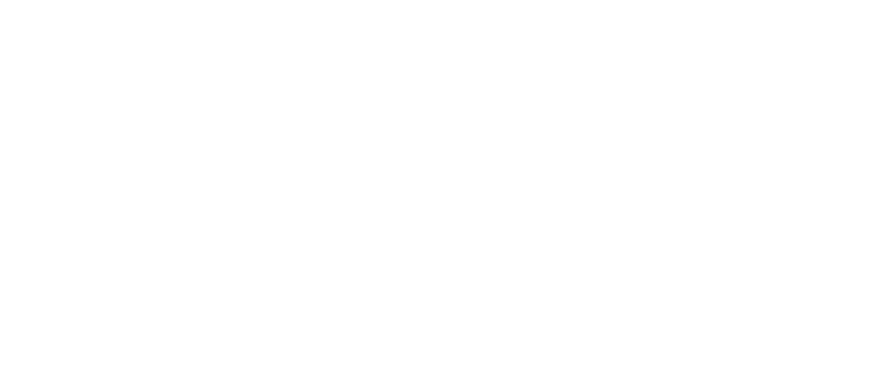 NICO DOT